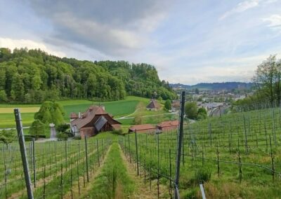 weinberg inneres sommerhaus